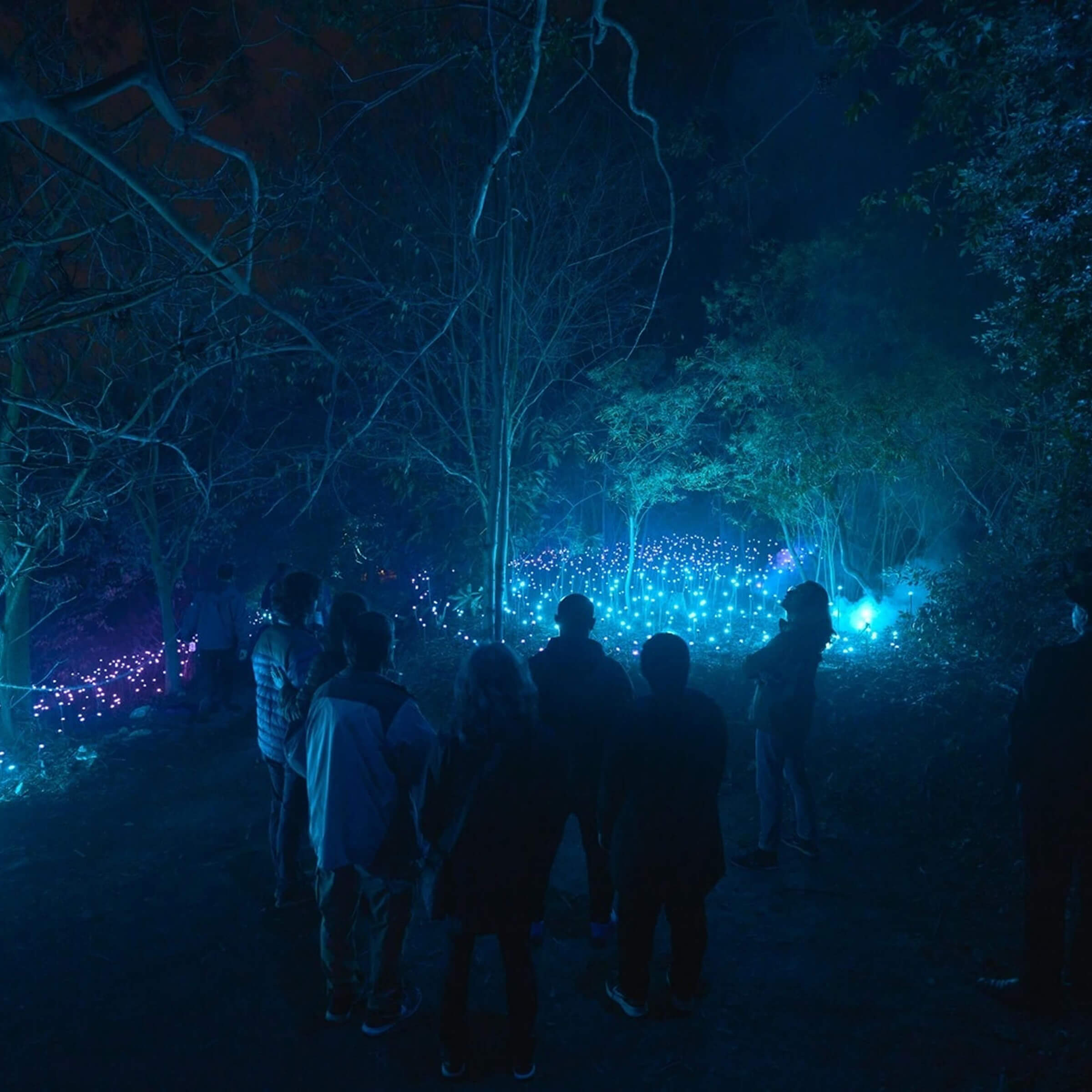 Featured image for “7 Things to Know Before Visiting Astra Lumina İstanbul”
