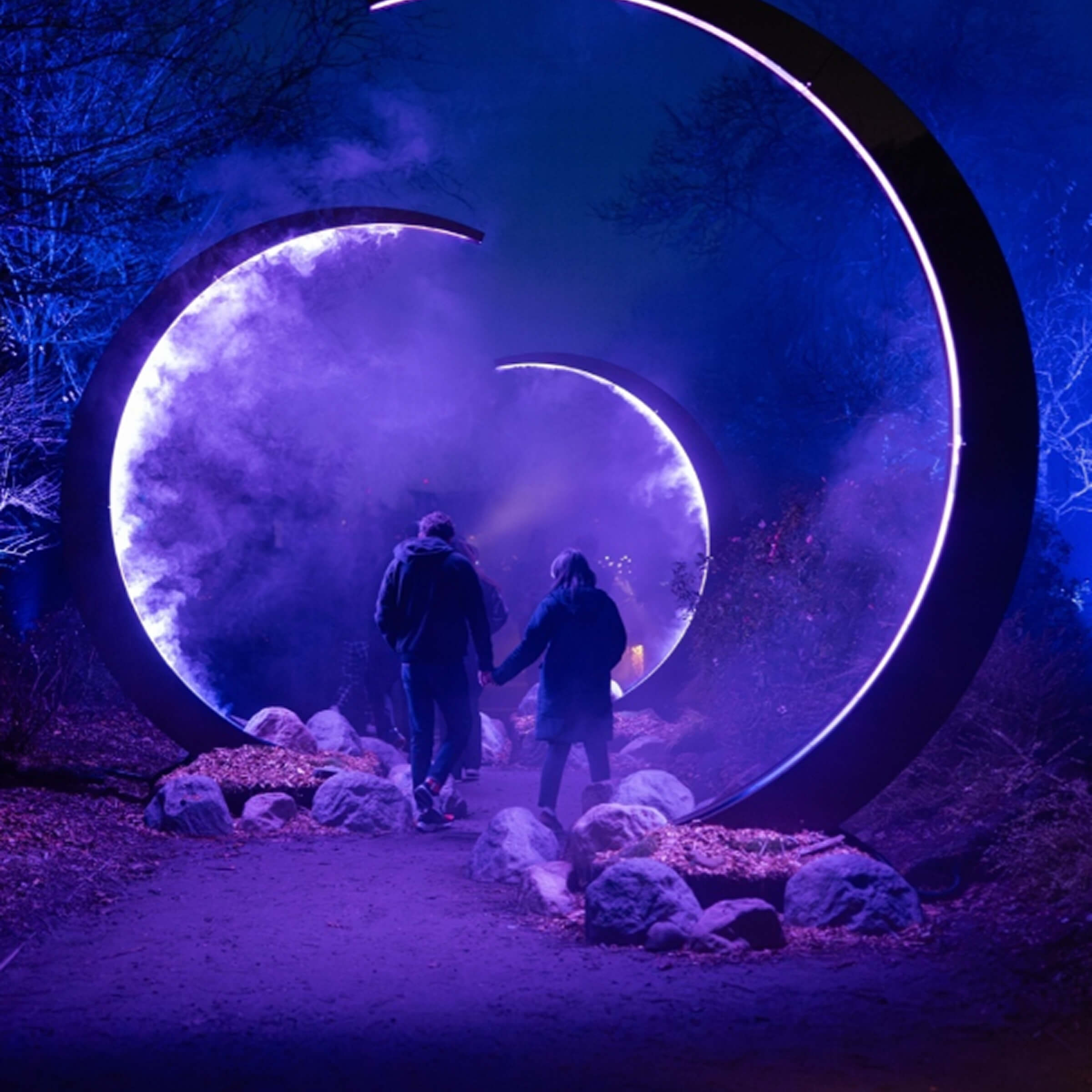 Featured image for “Home”